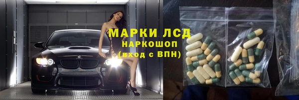 сатива Беломорск