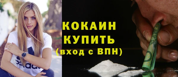сатива Беломорск