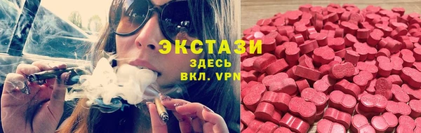 сатива Беломорск